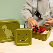 Trixie Nesting Snackboxes - Mr. Dino