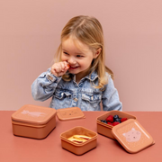 Trixie Nesting Snackboxes - Mrs. Cat