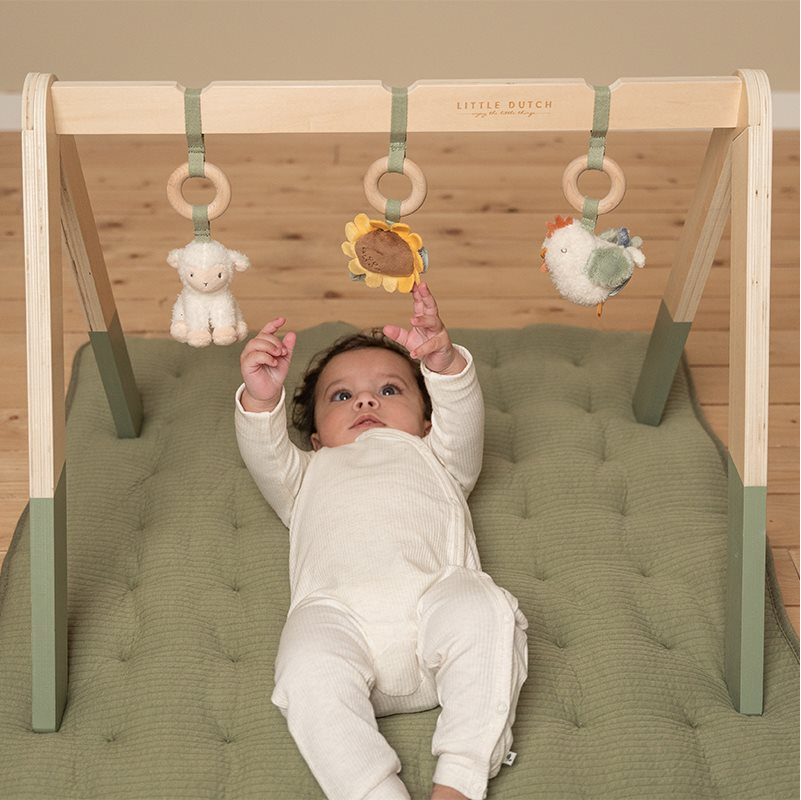 Baby top mobile gym