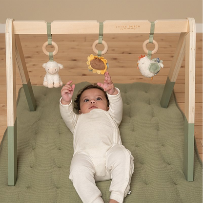 Little Dutch Baby Play Gym - Little Farm