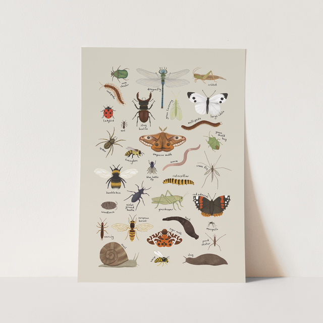 Kid of the Village Minibeasts Fine Art Print - Stone
