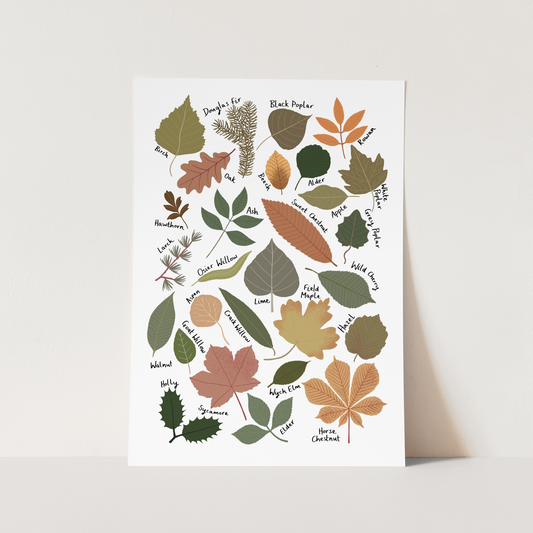 Kid Of The Village Leaf Chart Fine Art Print