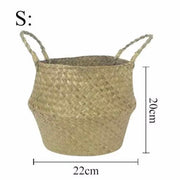 Bellybambino Yellow Lion Basket - Small