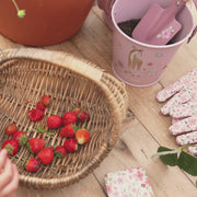Little Dutch Bucket - Fairy Garden