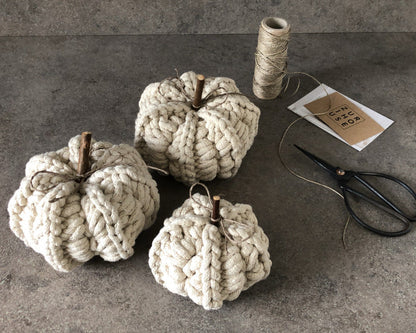 Zuri House Crochet Pumpkins