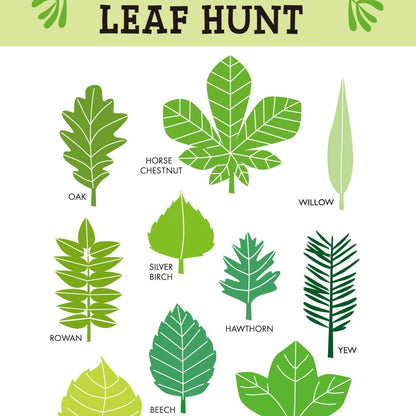 Tender Leaf Toys Forest Trail Kit