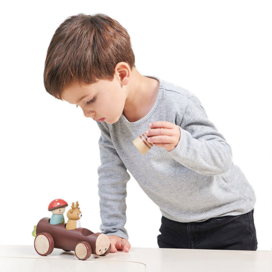 Tender Leaf Toys Timber Taxi